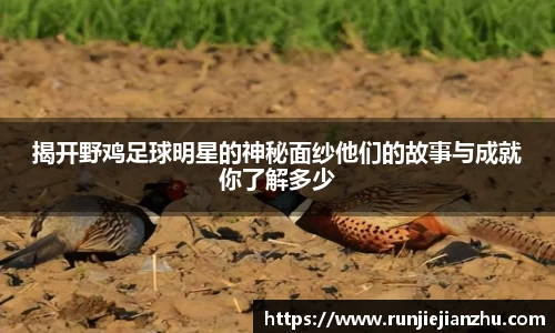 VKGAME威客游戏入口